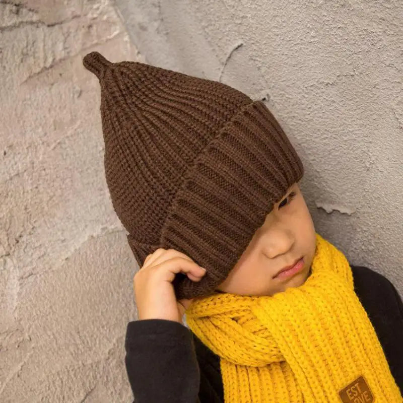 Winter Beanie Hat