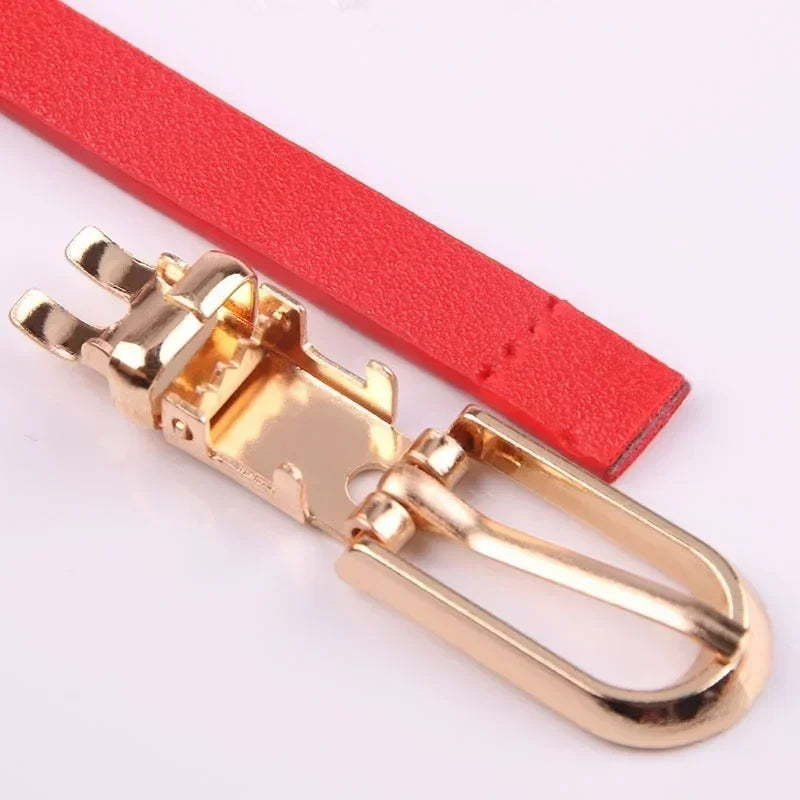 Stretch Waist Belt